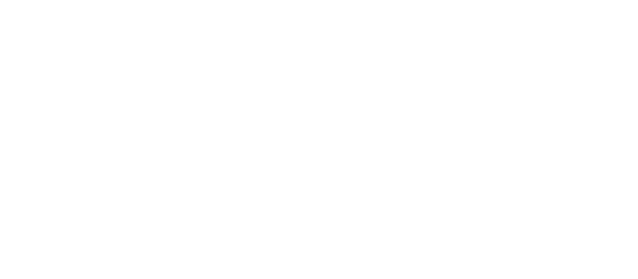 Pitcher Partners logo